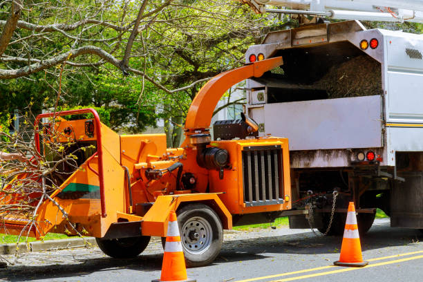 Best Arborist Consultation Services  in Trussville, AL